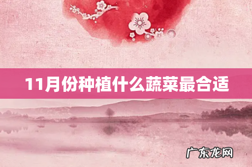 11月份种植什么蔬菜最合适