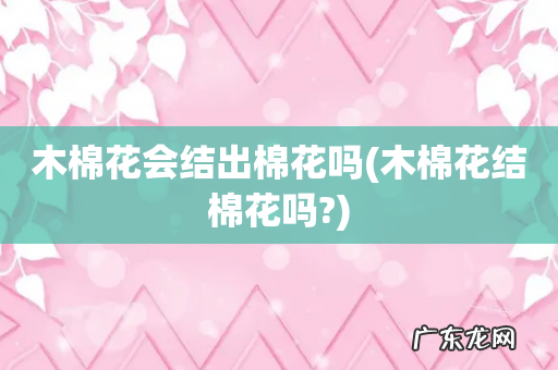 木棉花结棉花吗? 木棉花会结出棉花吗