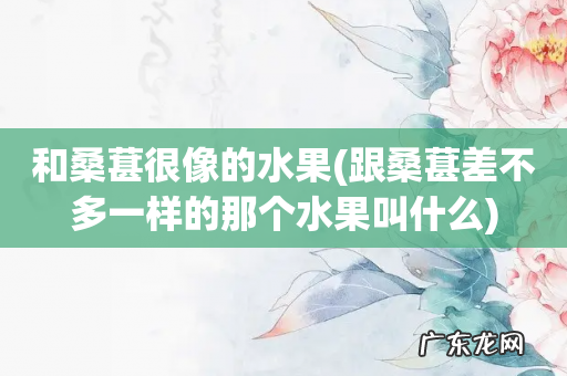 跟桑葚差不多一样的那个水果叫什么 和桑葚很像的水果