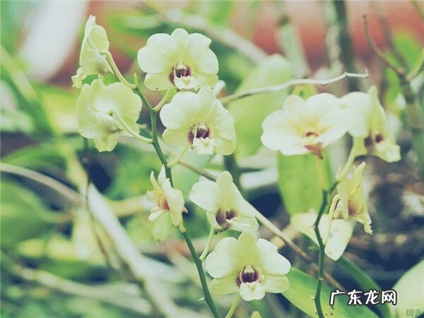 睡觉时爱出汗是什么原因 睡觉出汗是咋回事