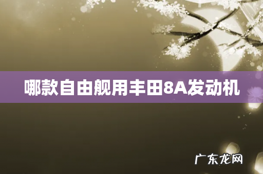 哪款自由舰用丰田8A发动机