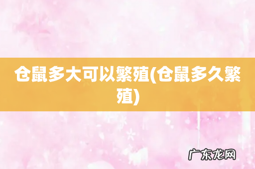 仓鼠多久繁殖 仓鼠多大可以繁殖