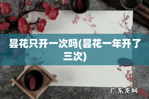 昙花一年开了三次 昙花只开一次吗