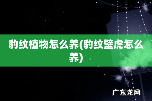 豹纹壁虎怎么养 豹纹植物怎么养