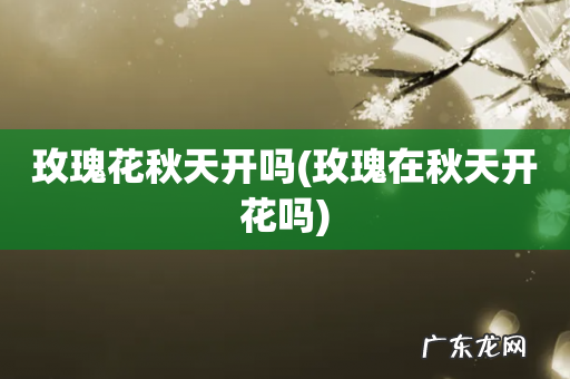 玫瑰在秋天开花吗 玫瑰花秋天开吗