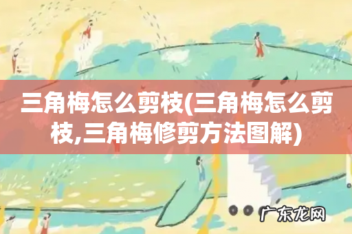 三角梅怎么剪枝,三角梅修剪方法图解 三角梅怎么剪枝