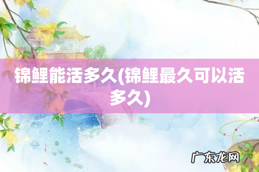 锦鲤最久可以活多久 锦鲤能活多久