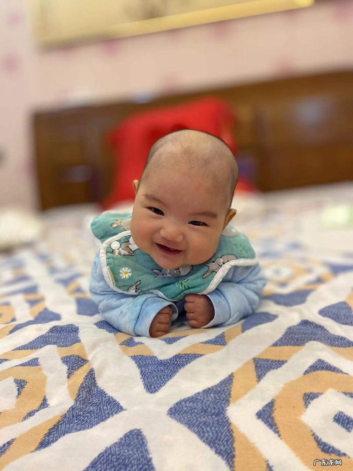 怎样判断早产儿智力是否正常 早产儿智力会有影响吗