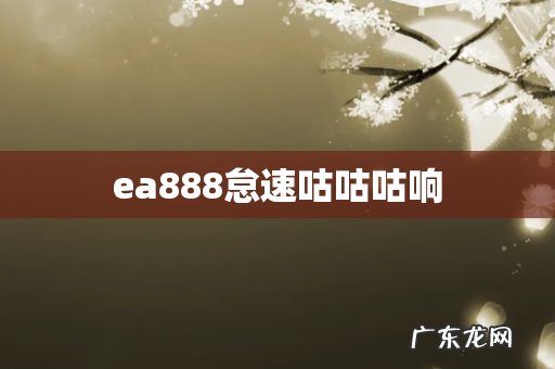 ea888怠速咕咕咕响