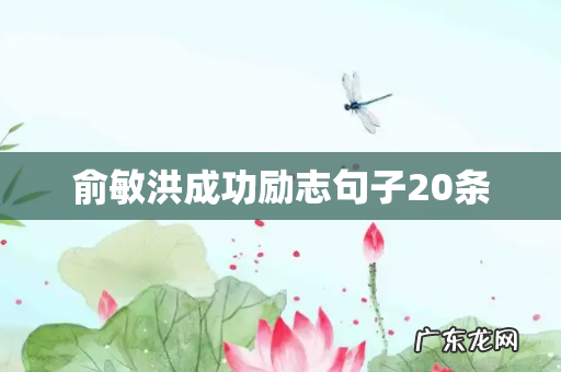 俞敏洪成功励志句子20条