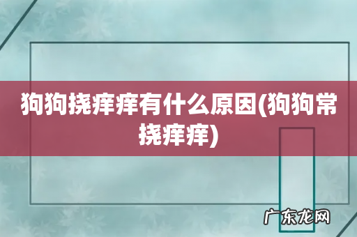 狗狗常挠痒痒 狗狗挠痒痒有什么原因
