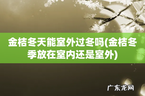 金桔冬季放在室内还是室外 金桔冬天能室外过冬吗