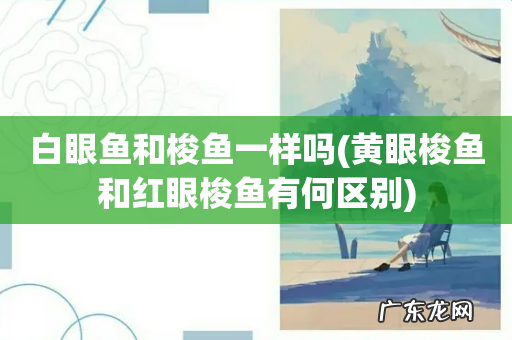 黄眼梭鱼和红眼梭鱼有何区别 白眼鱼和梭鱼一样吗