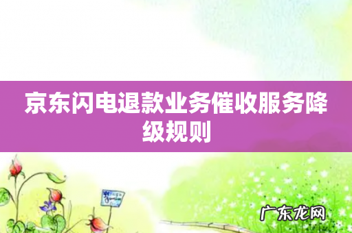 京东闪电退款业务催收服务降级规则