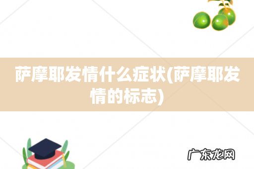 萨摩耶发情的标志 萨摩耶发情什么症状