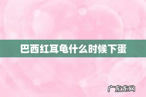 巴西红耳龟什么时候下蛋