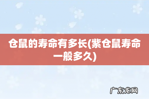 紫仓鼠寿命一般多久 仓鼠的寿命有多长