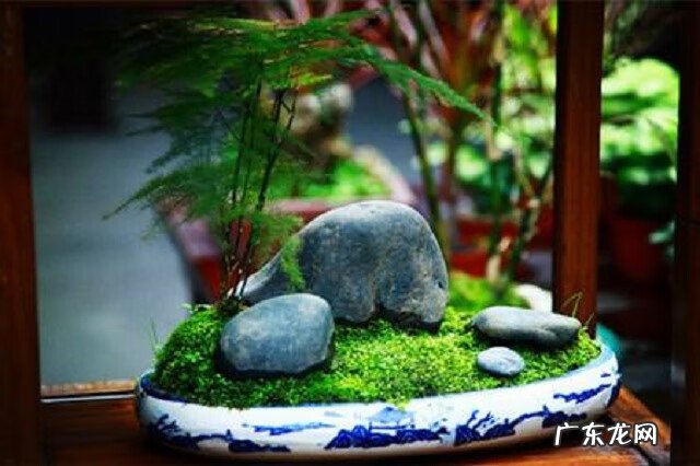 国学大师讲解易经与风水 老梁说人的运势和风水