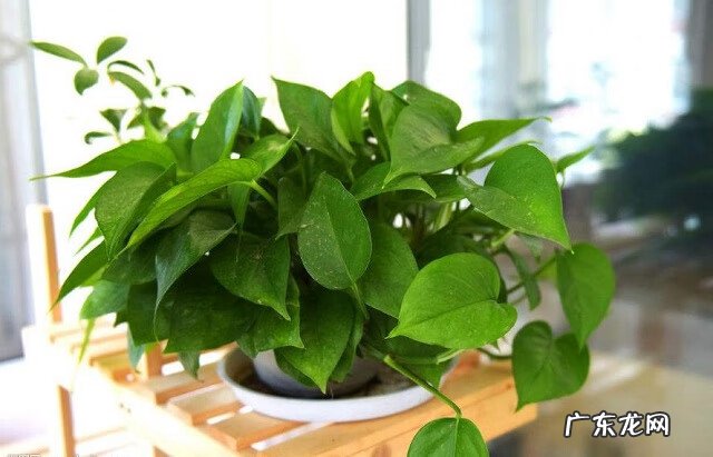 国学大师讲解易经与风水 老梁说人的运势和风水