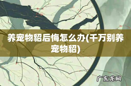 千万别养宠物貂 养宠物貂后悔怎么办