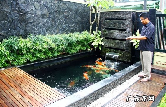 风水鱼池设计效果图 后花园景观鱼池设计