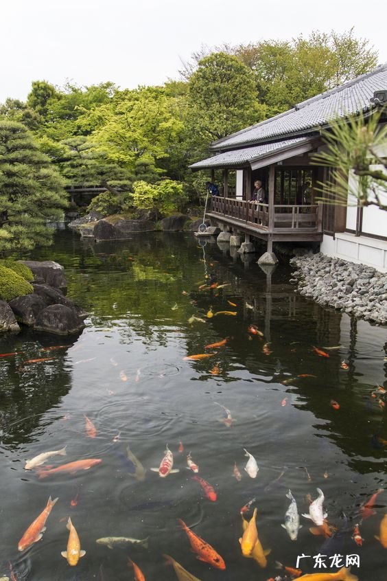 风水鱼池设计效果图 后花园景观鱼池设计