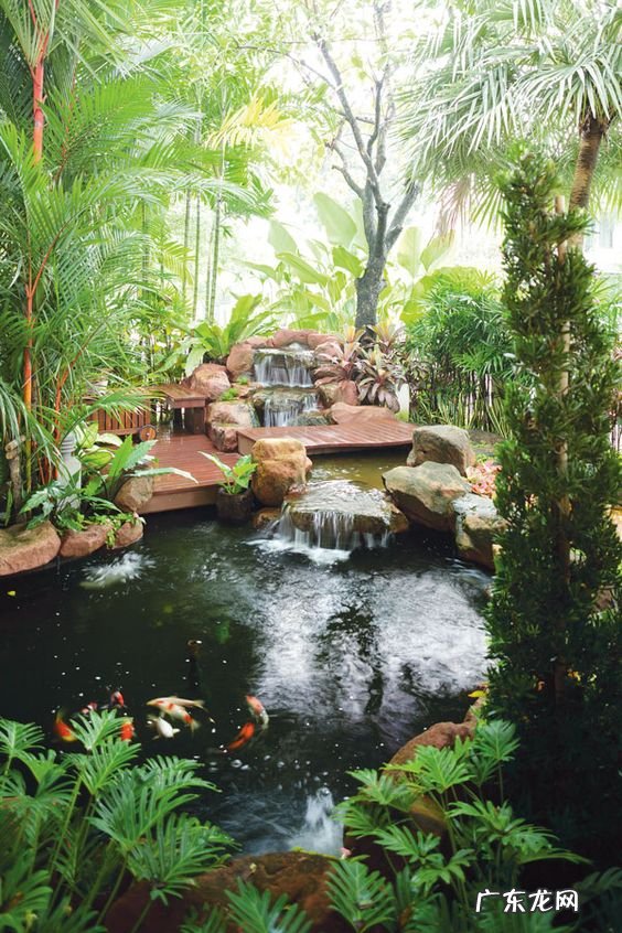 风水鱼池设计效果图 后花园景观鱼池设计