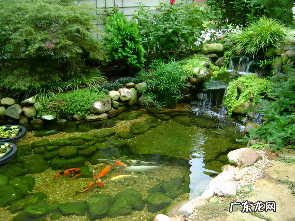 风水鱼池设计效果图 后花园景观鱼池设计