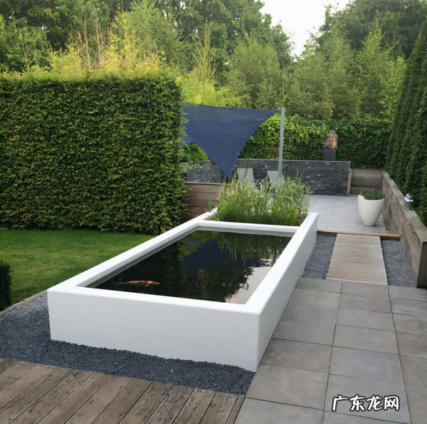 风水鱼池设计效果图 后花园景观鱼池设计