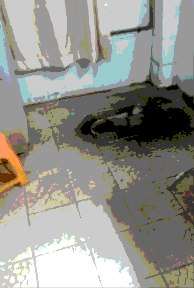 下水管被树根堵了怎么办 树根把厕所堵了怎么办