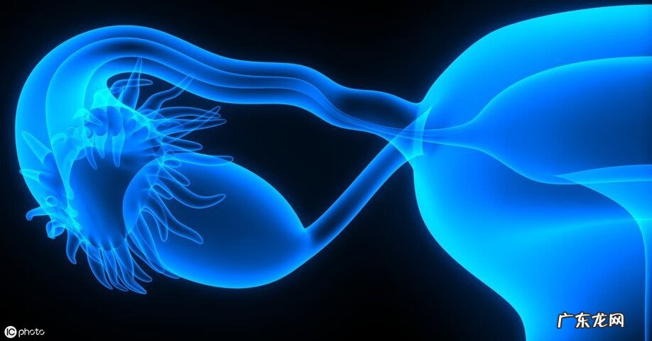 宫腹腔镜是什么意思 宫腹腔镜联合术