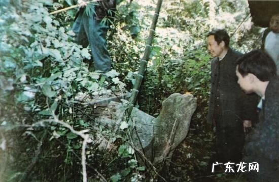 云天宫是张子强的房子 张子震风水