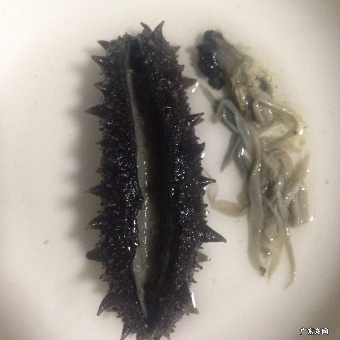 盐渍海参保质期多久 盐渍海参怎么吃