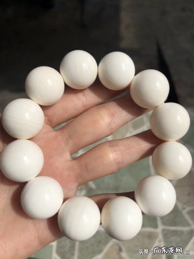 砗榘的摆放位置