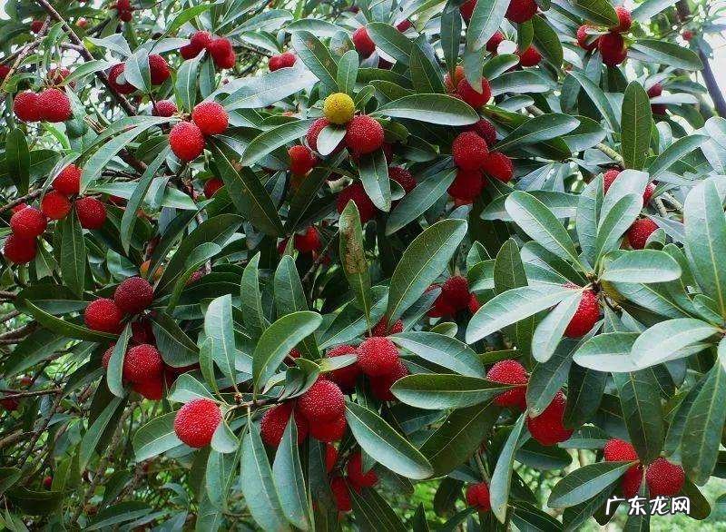 湖与住宅的风水 小区在山上风水