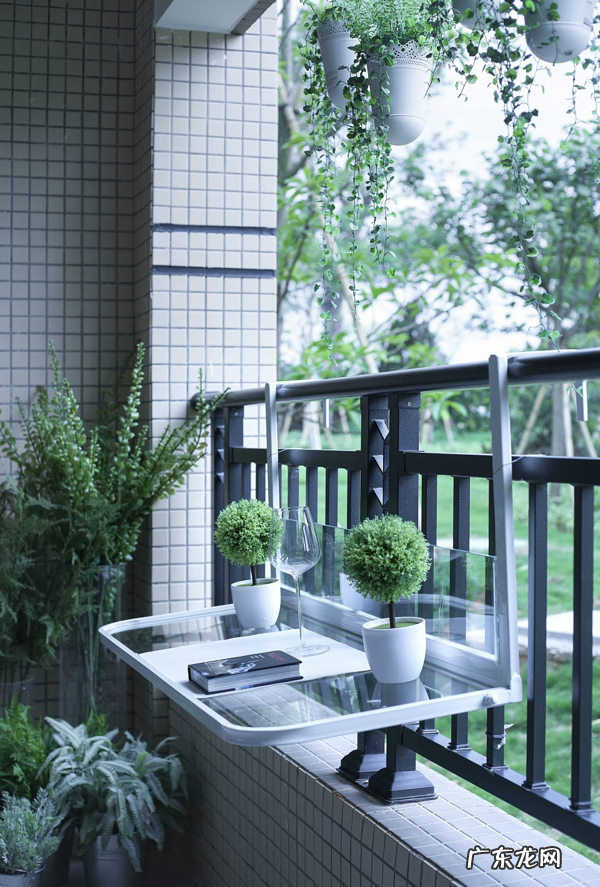 最旺风水植物 绿色植物风水讲究