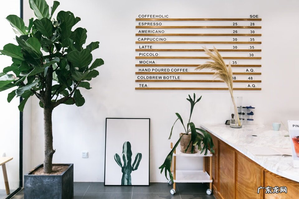 最旺风水植物 绿色植物风水讲究