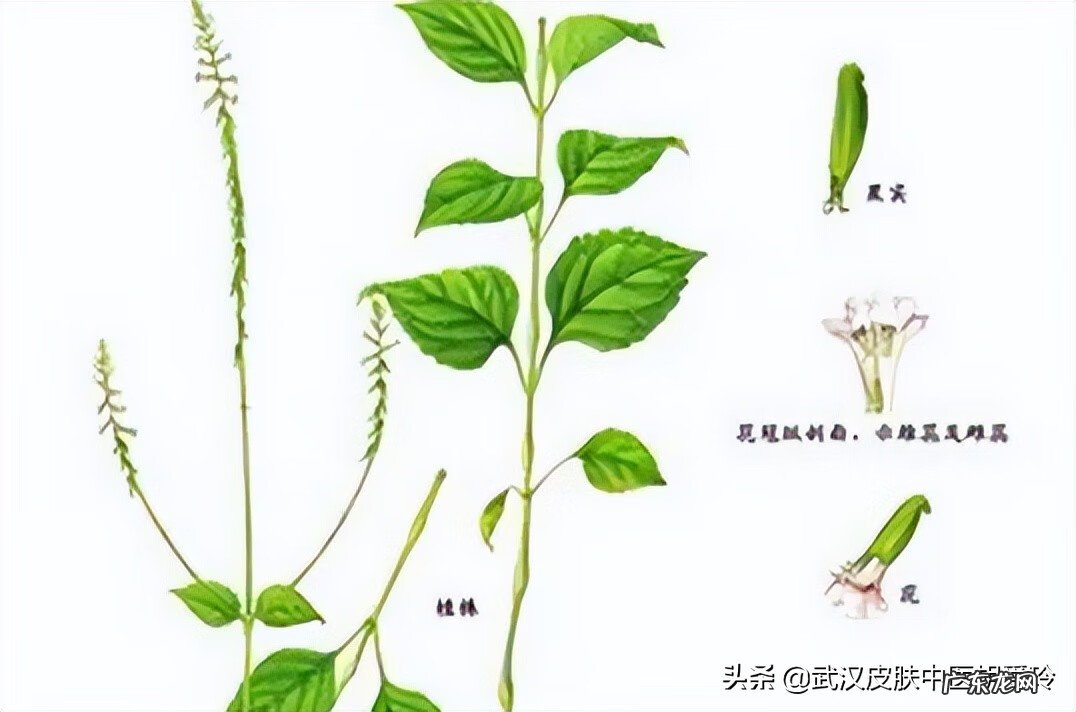 皮肤角质硬化症 角质硬化是怎么造成的?