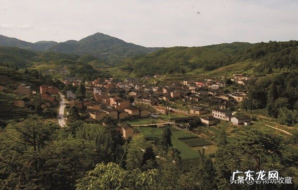 甘国宝与王莲莲关系 福建甘国宝虎形风水