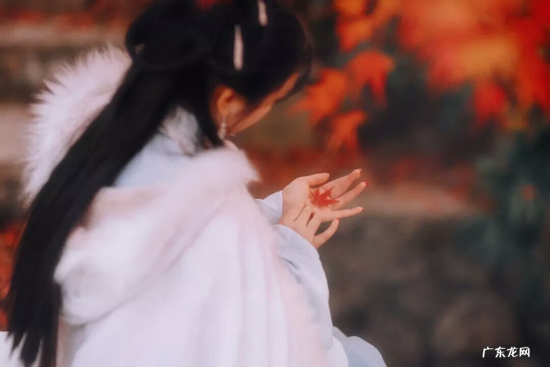 马蜂筑巢地方的风水 黄蜂在家里筑巢好不好风水