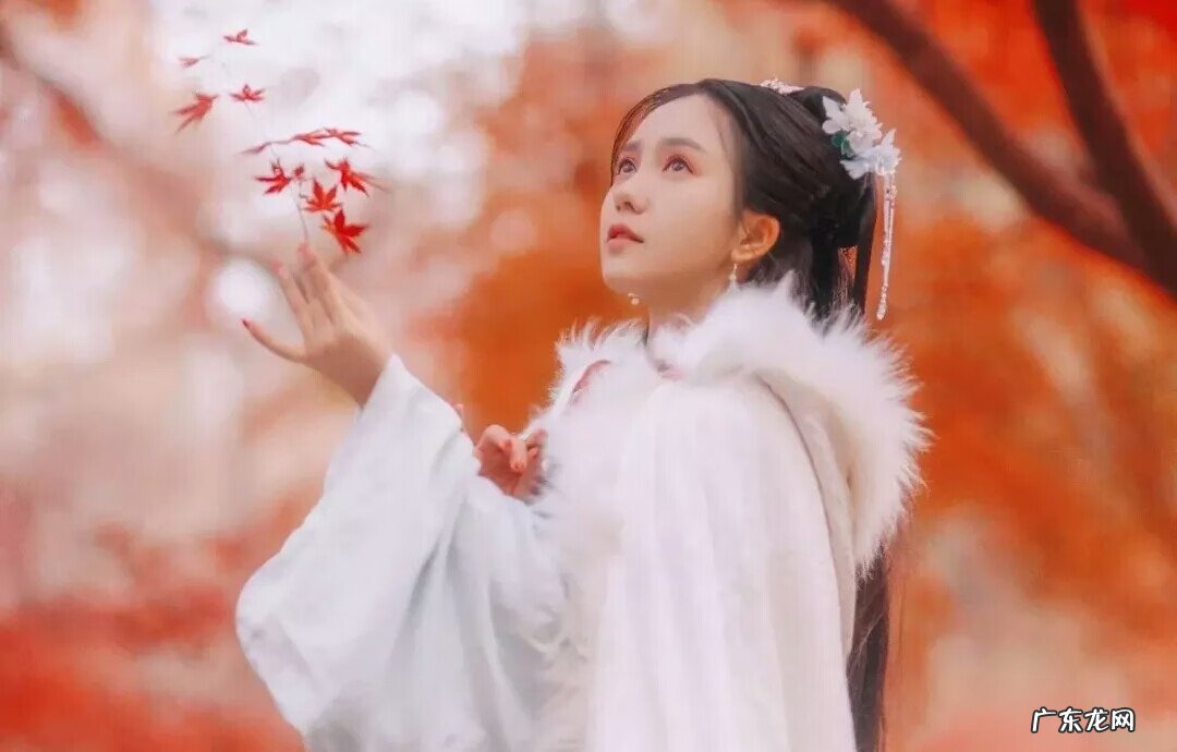 马蜂筑巢地方的风水 黄蜂在家里筑巢好不好风水