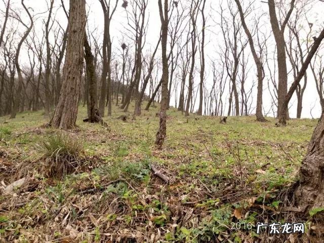 阳江风水最好的地方 山东省海阳市风水