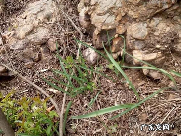 阳江风水最好的地方 山东省海阳市风水