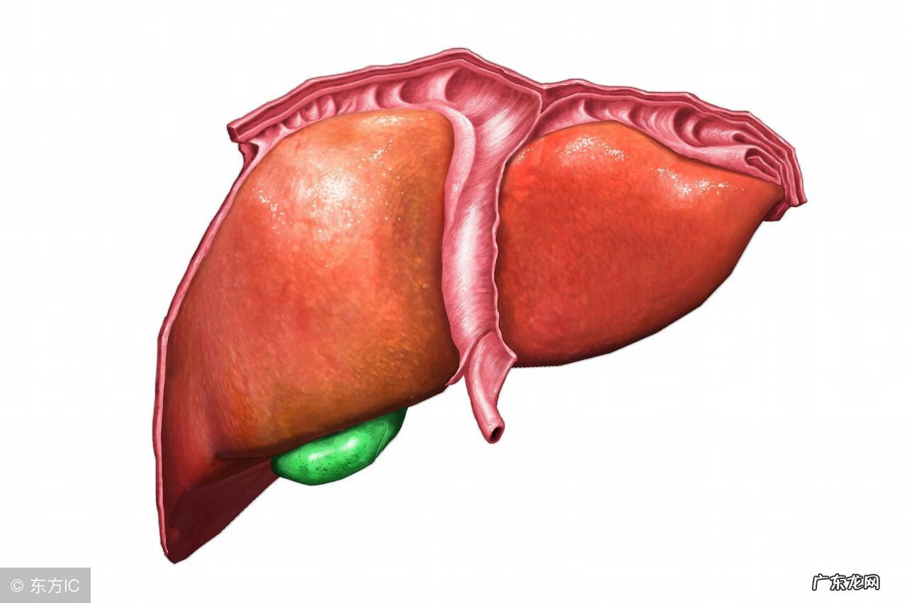 检查肝功能要多少钱 肝功能异常