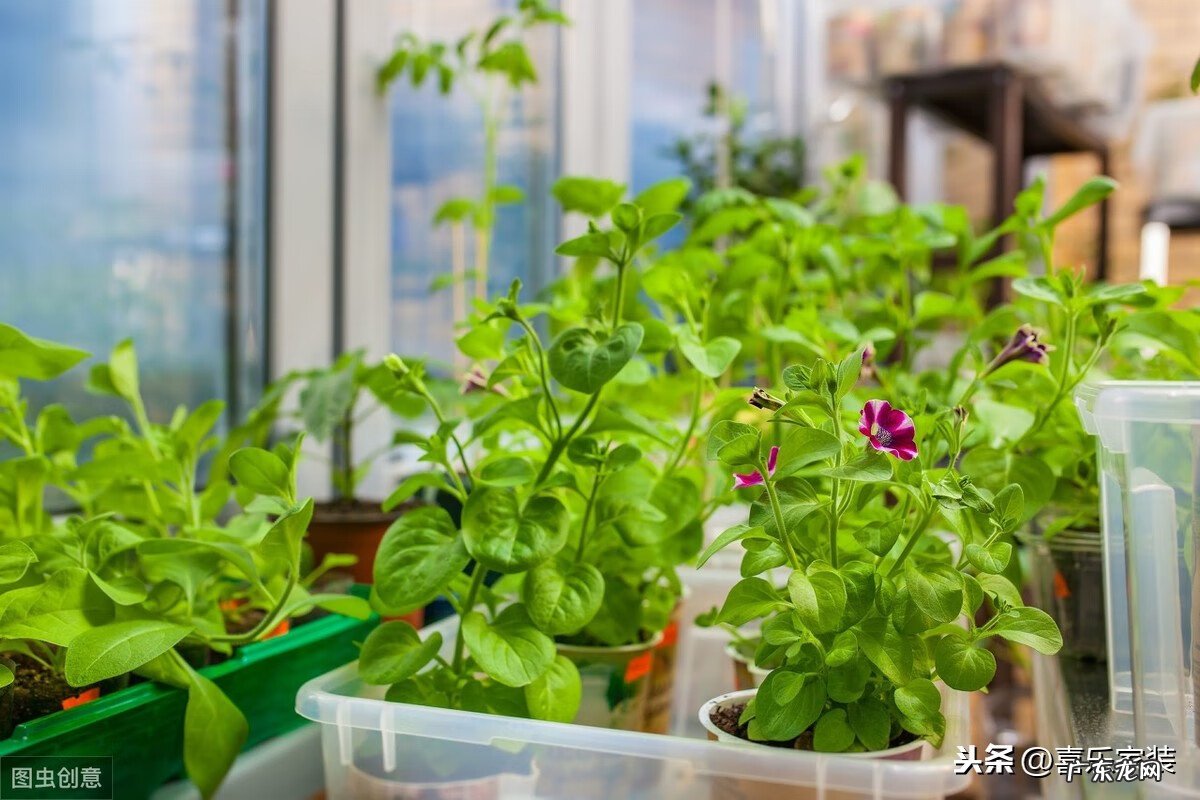 装修房子要注意什么风水 装修注意哪些风水问题