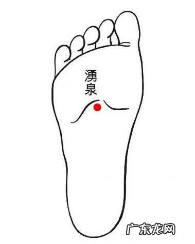 补肾吃什么食物效果最好 补肾吃什么食物最好最快