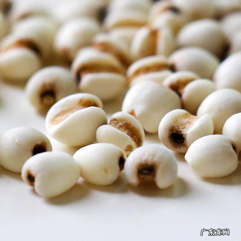 薏仁有什么作用 薏仁的功效和作用