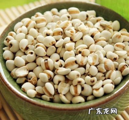 薏仁有什么作用 薏仁的功效和作用