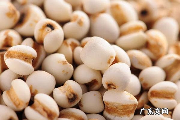 薏仁有什么作用 薏仁的功效和作用