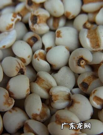 薏仁有什么作用 薏仁的功效和作用